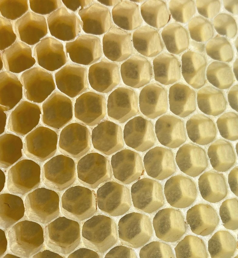 Close-up of honeycomb cells